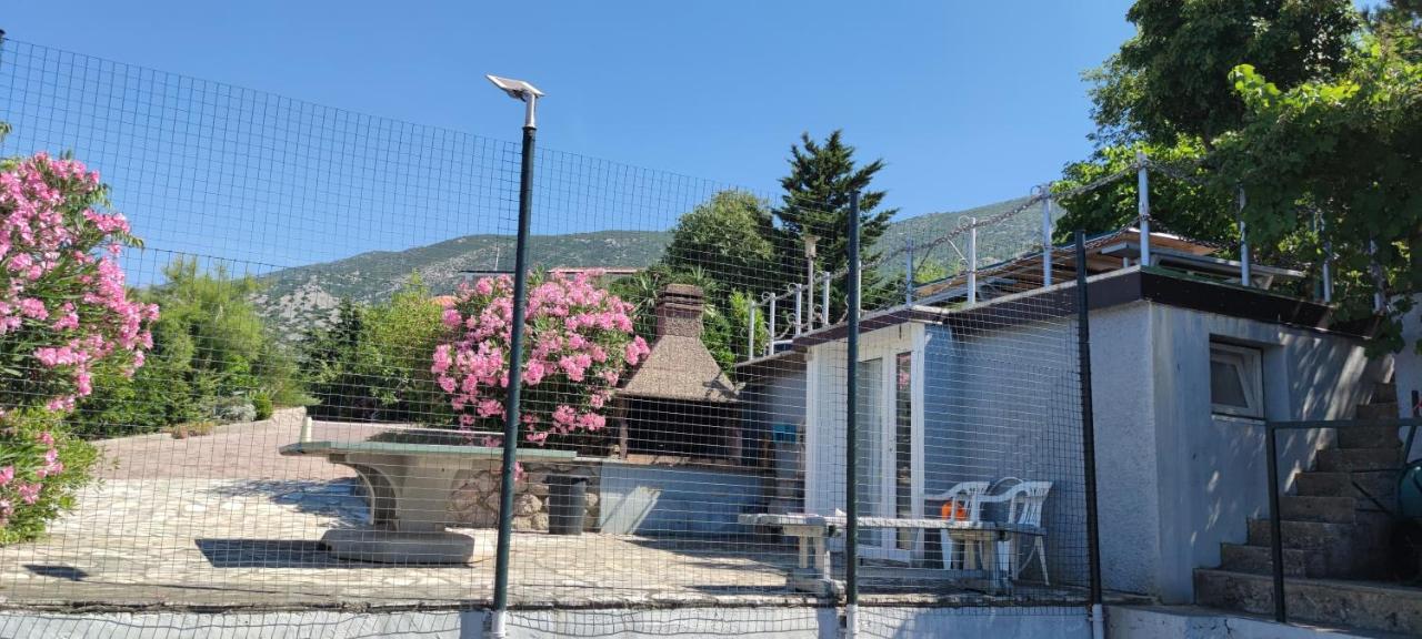 Resort Haus Toma Cesarica Buitenkant foto