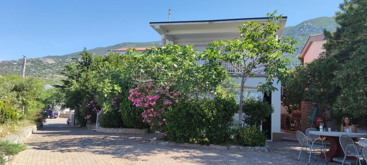 Resort Haus Toma Cesarica Buitenkant foto