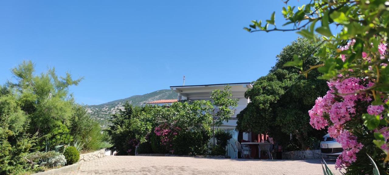 Resort Haus Toma Cesarica Buitenkant foto