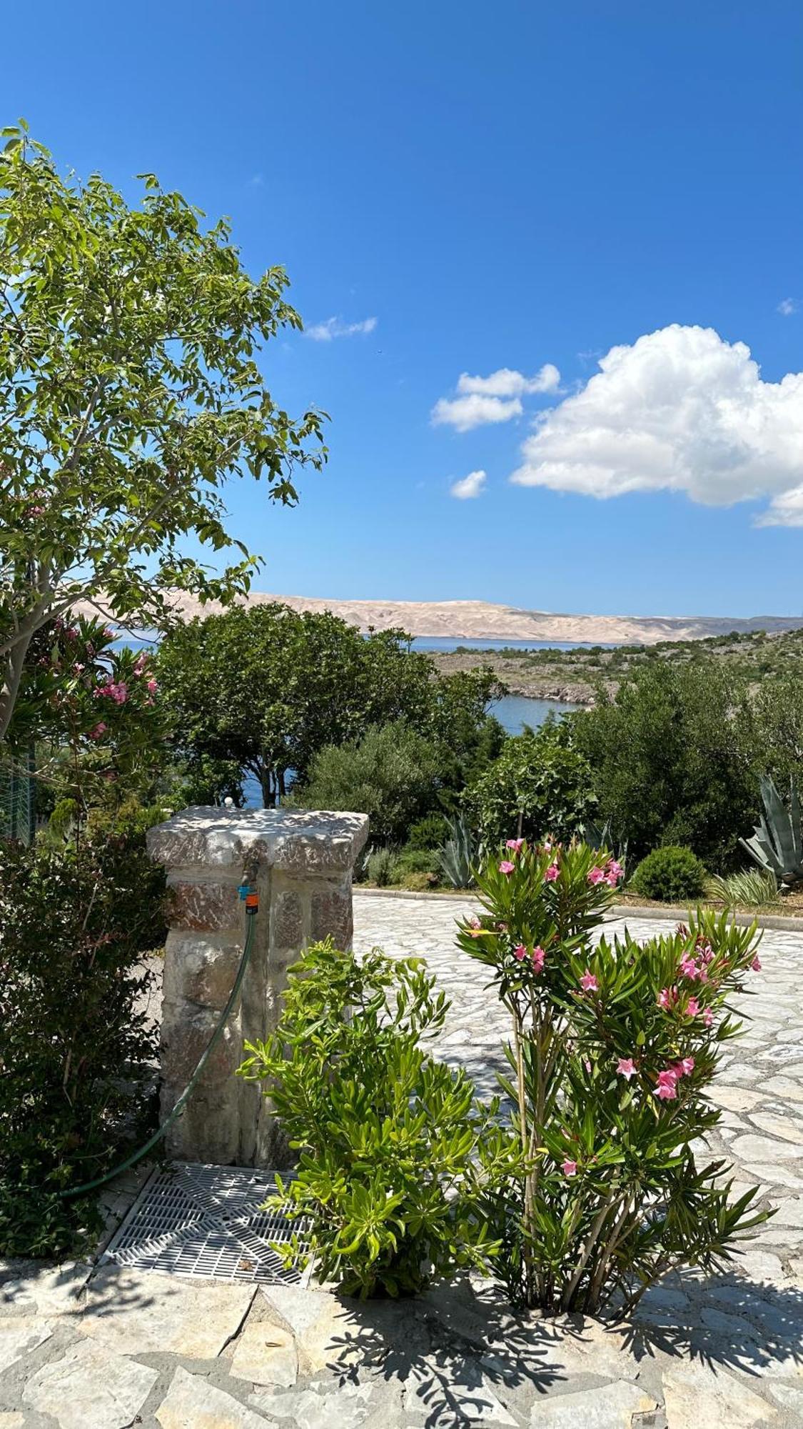 Resort Haus Toma Cesarica Buitenkant foto