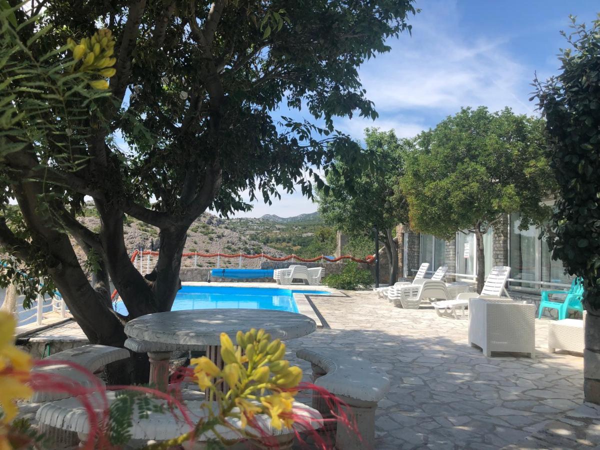 Resort Haus Toma Cesarica Buitenkant foto