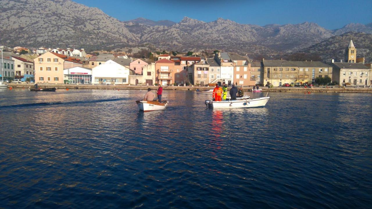 Resort Haus Toma Cesarica Buitenkant foto