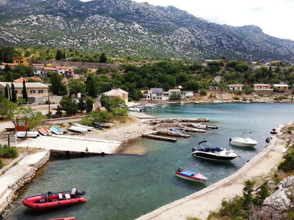 Resort Haus Toma Cesarica Buitenkant foto