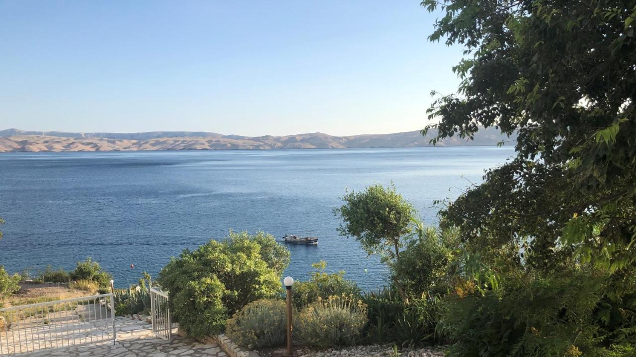 Resort Haus Toma Cesarica Buitenkant foto