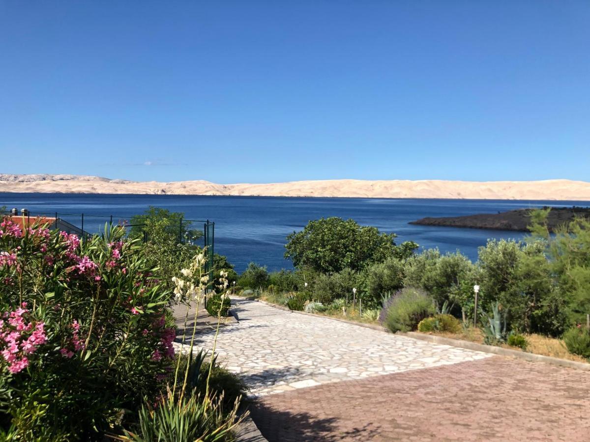 Resort Haus Toma Cesarica Buitenkant foto