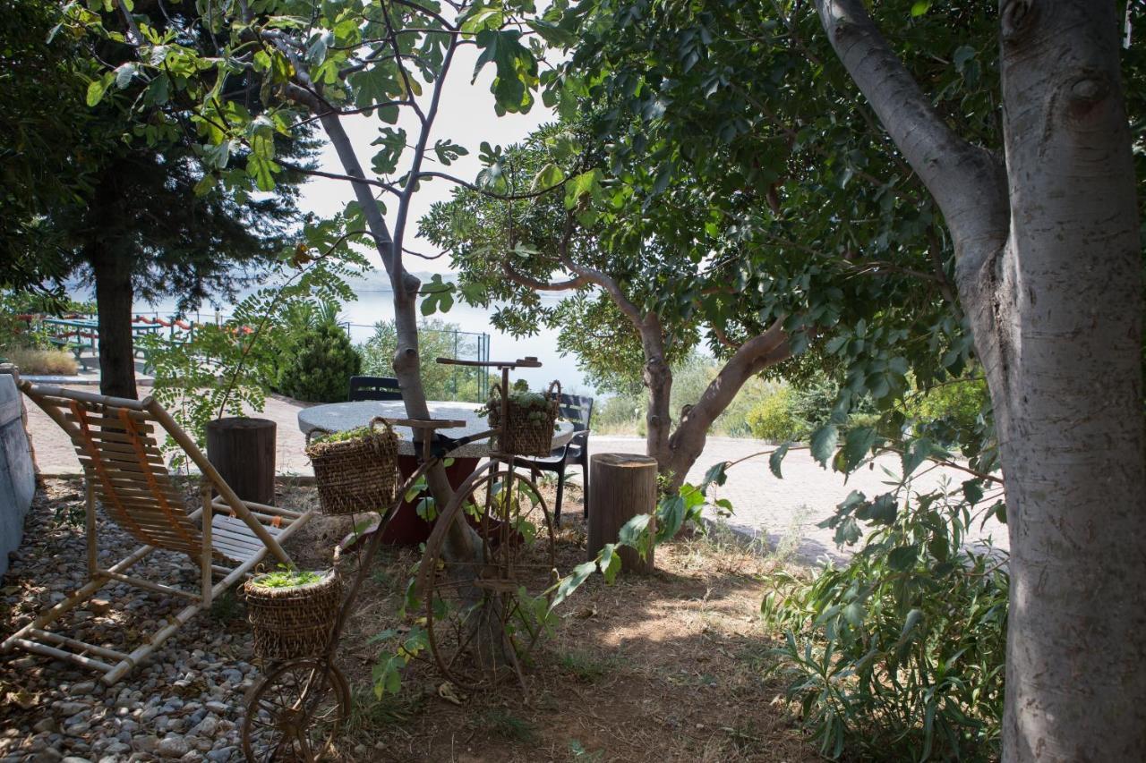 Resort Haus Toma Cesarica Buitenkant foto