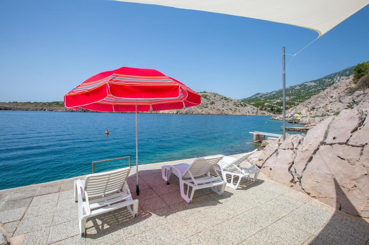 Resort Haus Toma Cesarica Buitenkant foto