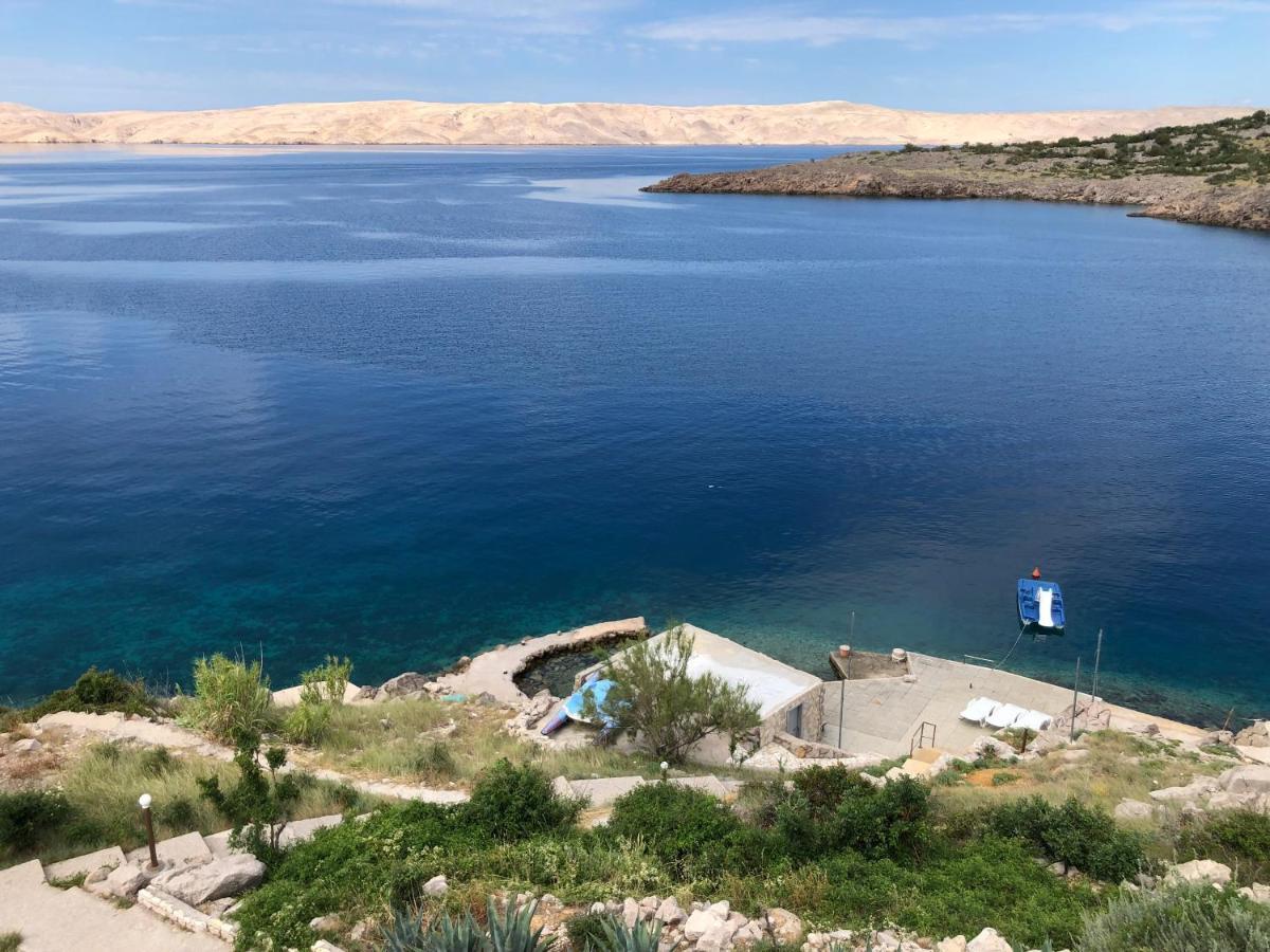 Resort Haus Toma Cesarica Buitenkant foto